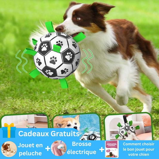 Dogball™-Ballon pour chien
