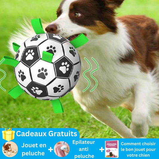 Dogball™|Ballon pour chien
