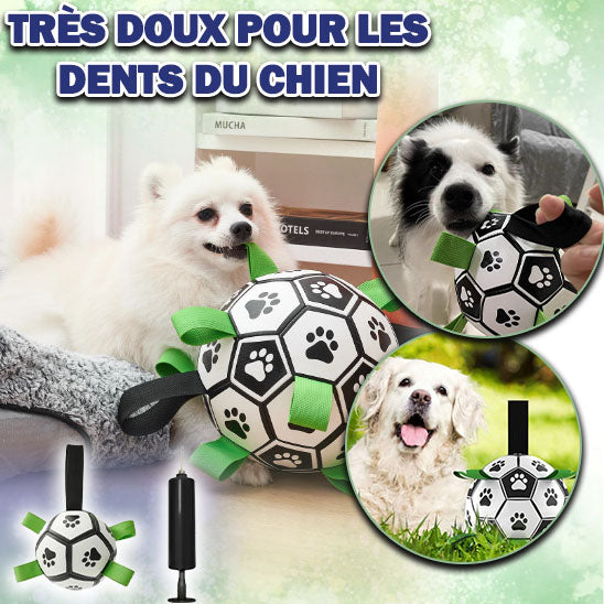 ballon_chien_doux