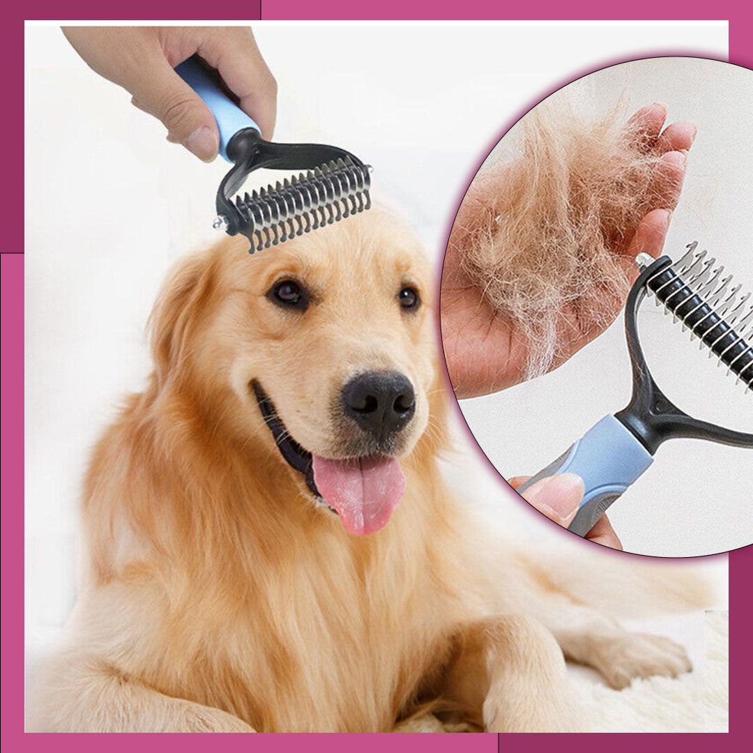 brosse-pour-chien-confortable