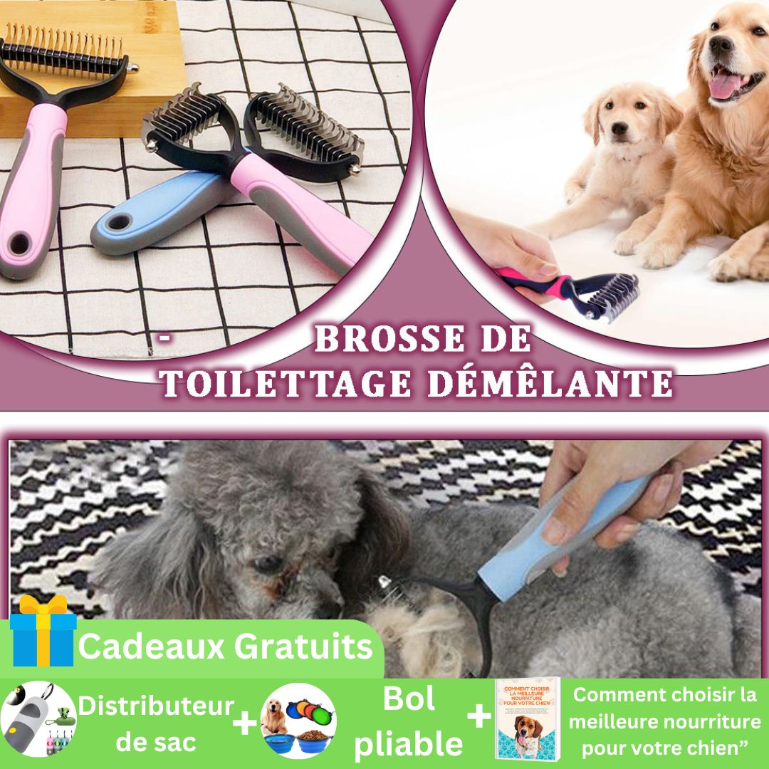 brosse-pour-chien-offre