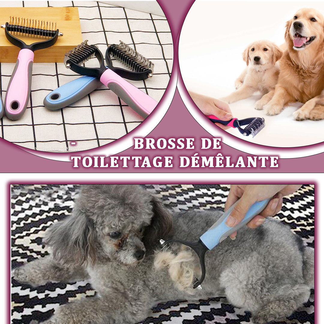 brosse-pour-chien-resistant