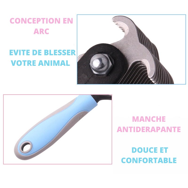 brosse-pour-chien-secur