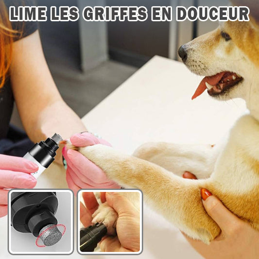 coupe_ongle_chien_pratique