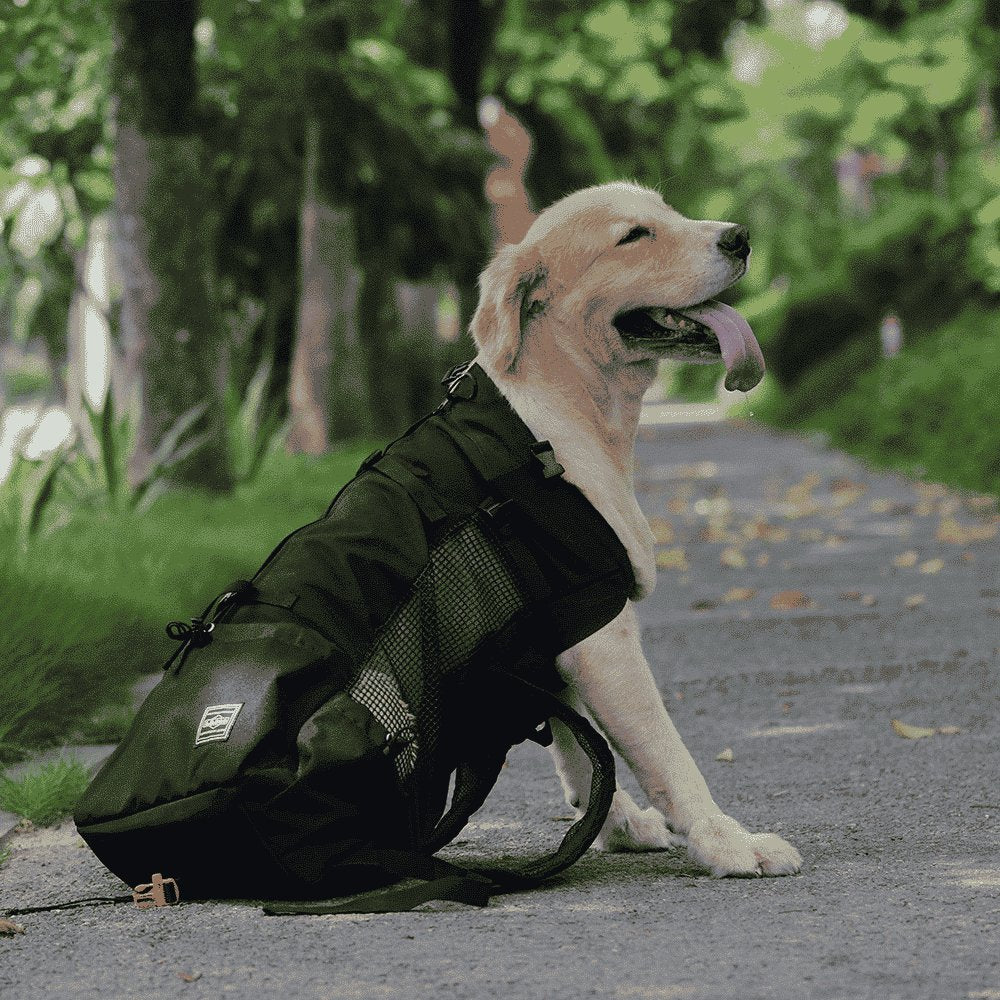 Dogbag™ Sac a dos de transport pour chien - Bestcompagnon