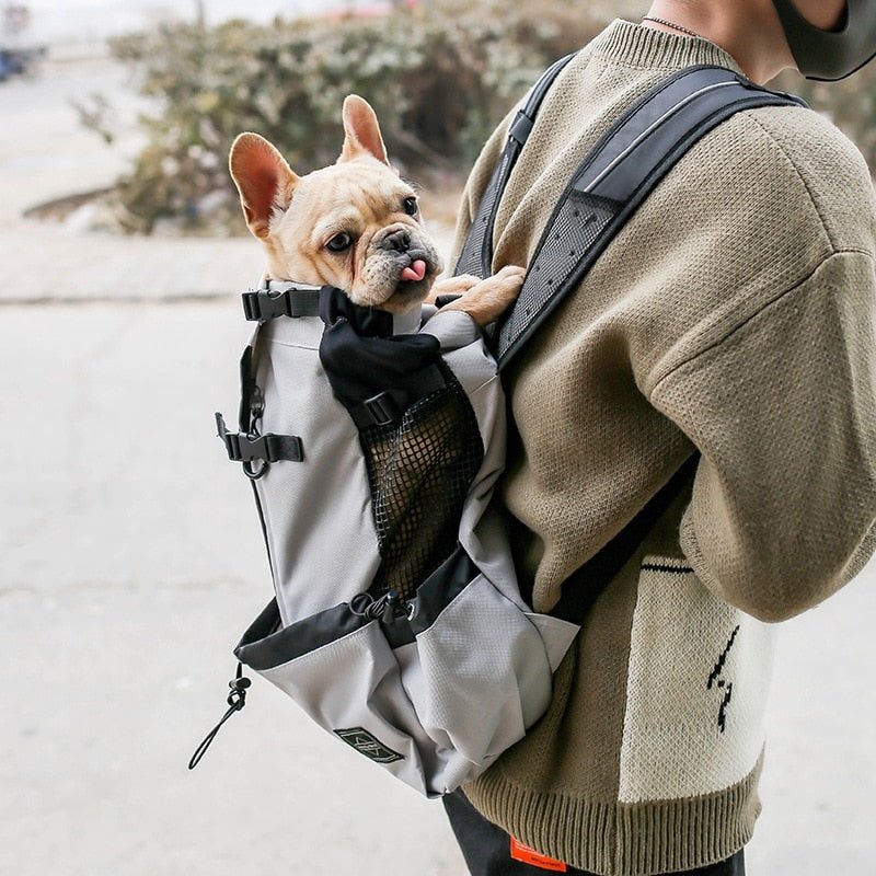 Dogbag™ Sac a dos de transport pour chien - Bestcompagnon