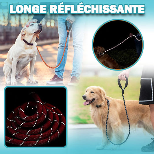 laisse_pour_chien_reflechissante