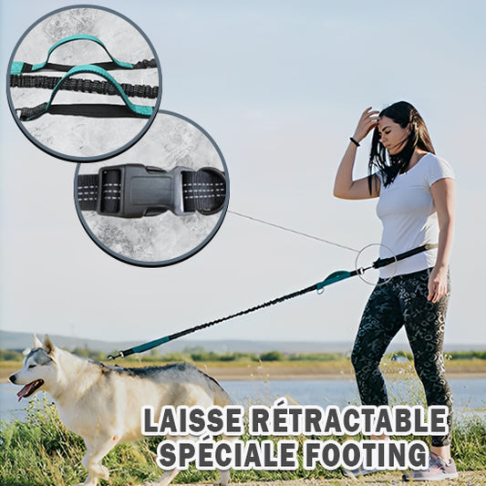 laisse_pour_chien_retractable