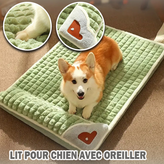 lit-pour-chien-oreiller