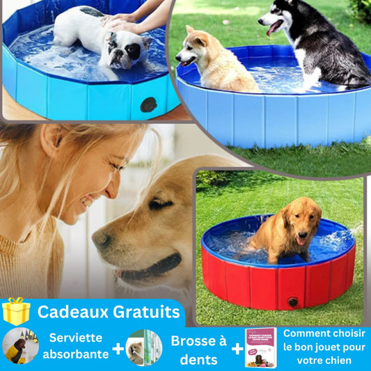 piscine-pour-chien-offre