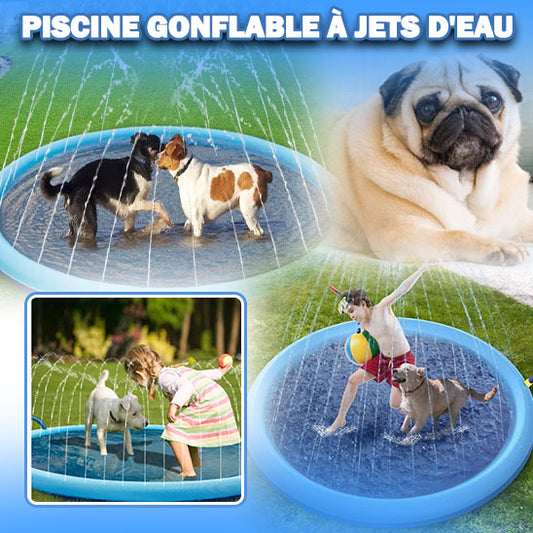 piscine_chien_gonflable