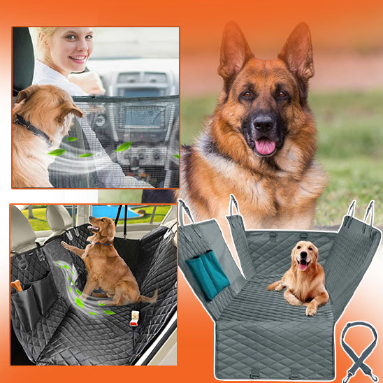 protection-voiture-chien-aeration