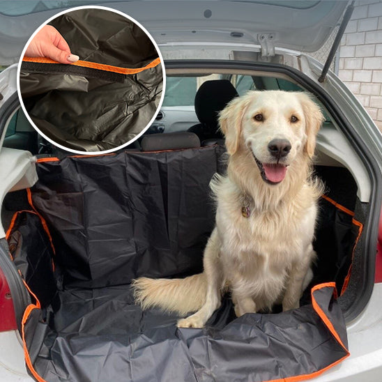 protection-voiture-chien-confortable