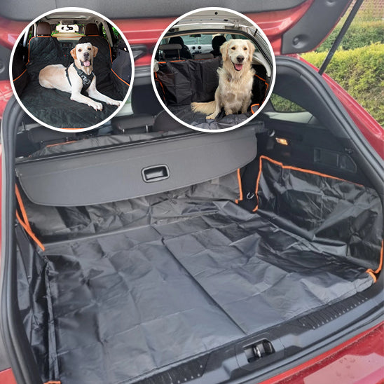 protection-voiture-chien-facile