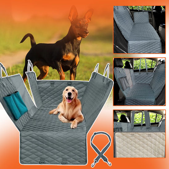 protection-voiture-chien-grand