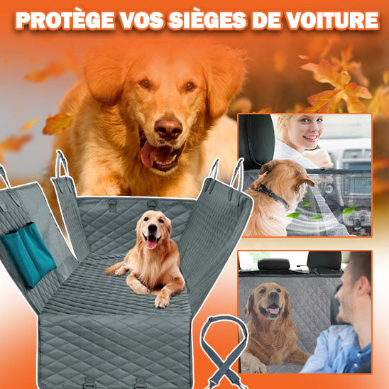 protection-voiture-chien-gris