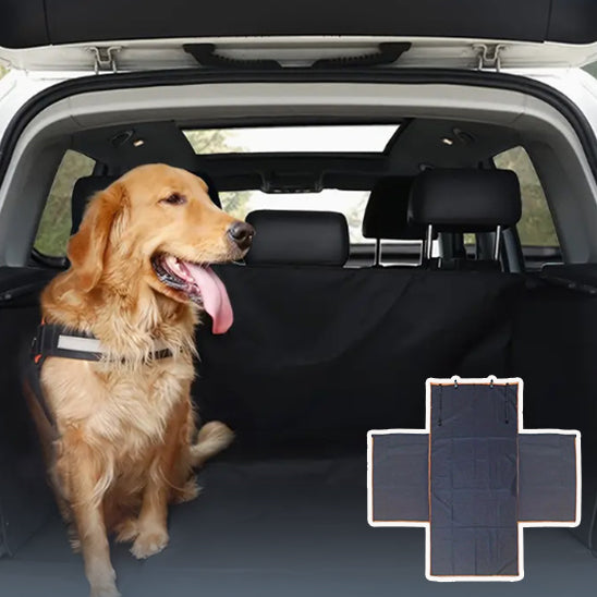 protection-voiture-chien-noir