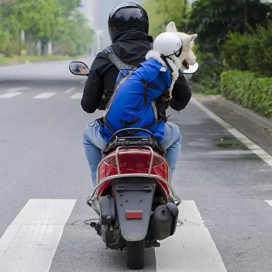 sac-a-dos-de-transport-pour-chien-bleu